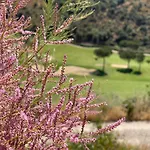 Calanova Gran Golf, Cartajima 22