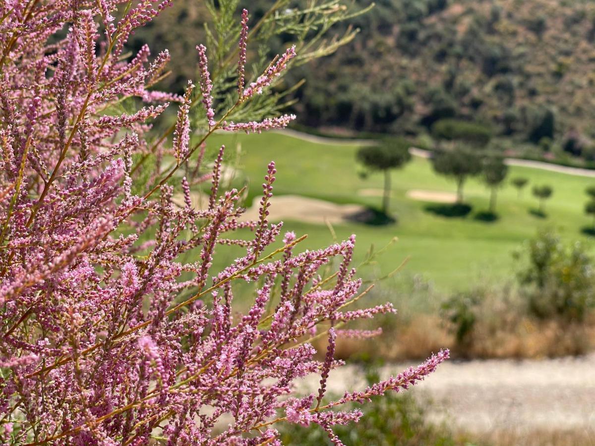 Calanova Gran Golf, Cartajima 22 Apartment *